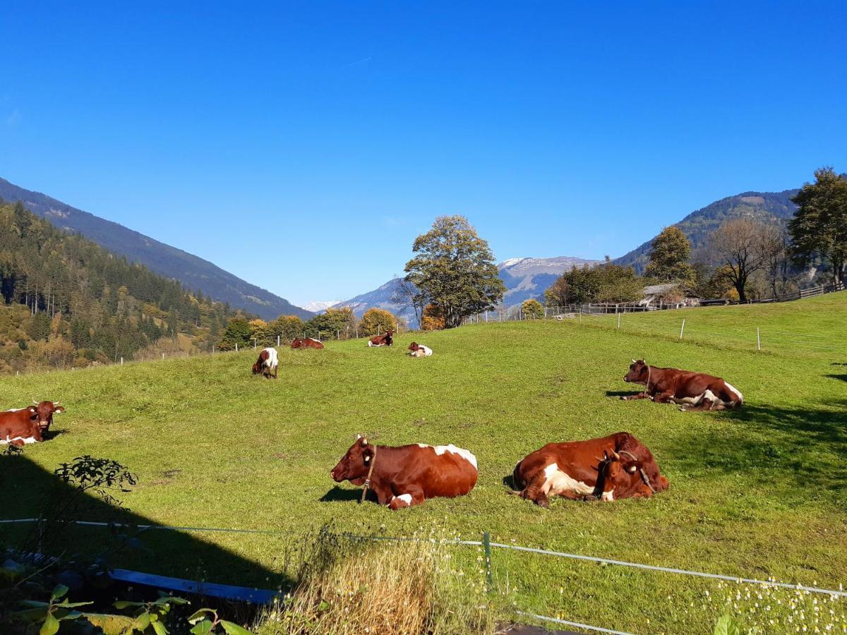 Apartmán Hoislbauerngut Bad Hofgastein Exteriér fotografie