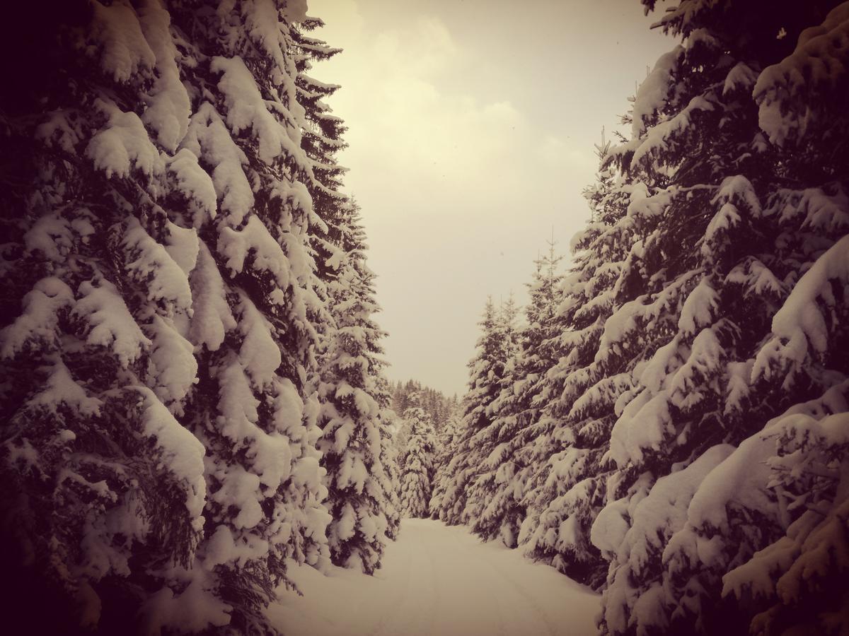 Apartmán Hoislbauerngut Bad Hofgastein Pokoj fotografie
